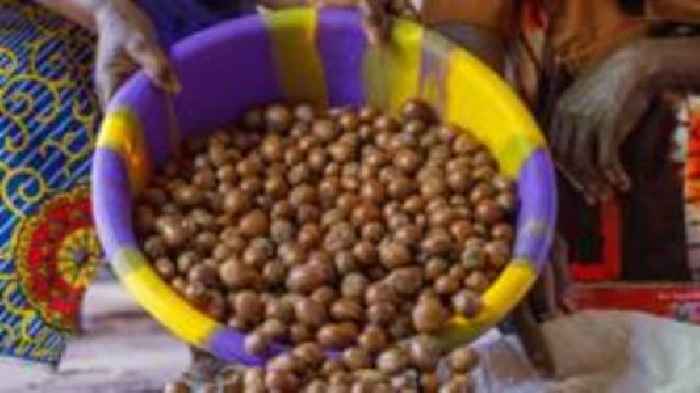 Nigeria bans export of shea nuts used in beauty creams for six months