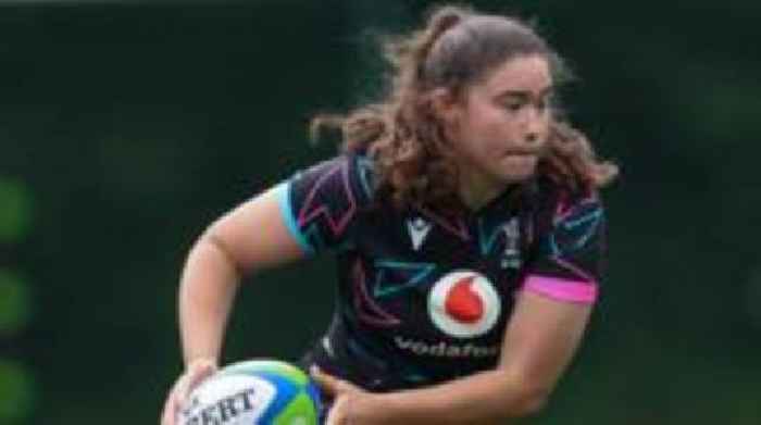 Wales back row Hopkins joins Bristol