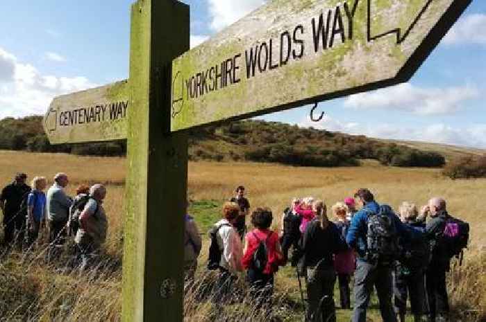 Five different East Yorkshire walks to try, including a dog-friendly ramble, a route to a brewery and one that is a load of old cobbles