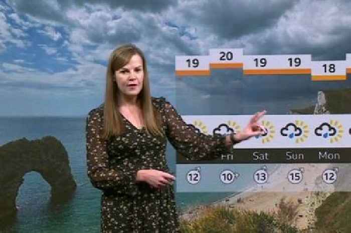 BBC presenters left red-faced as co-star snaps 'look interested' live on-air
