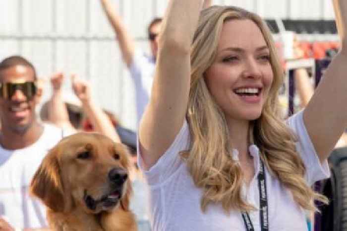 Netflix tearjerker that left viewers 'sobbing' is a must-watch for dog lovers