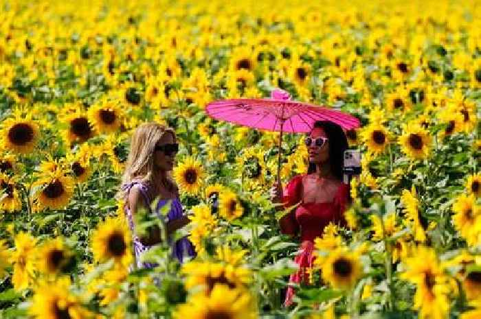 Next UK bank holiday and 2026 dates as change sees 'substitute day'