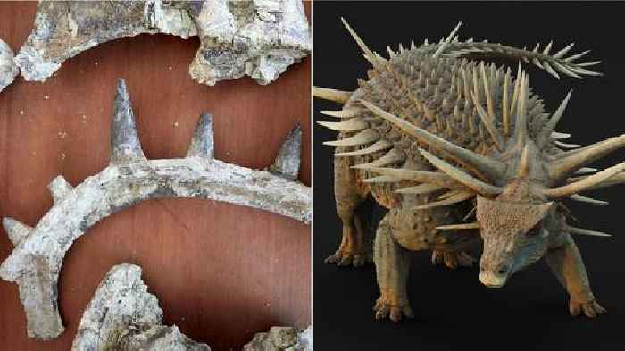 New fossils reveal dinosaur's amazing armour