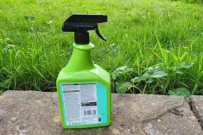 Gardeners told not to use weedkiller after expert's stark warning