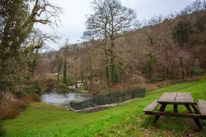 Devon river set to reopen after 200 years for endangered species