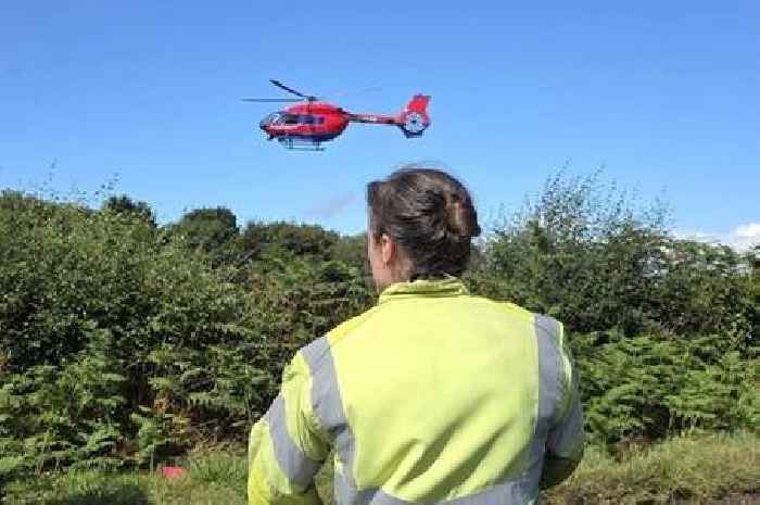 Seven hurt in nasty crash between car and bin lorry in Somerset village