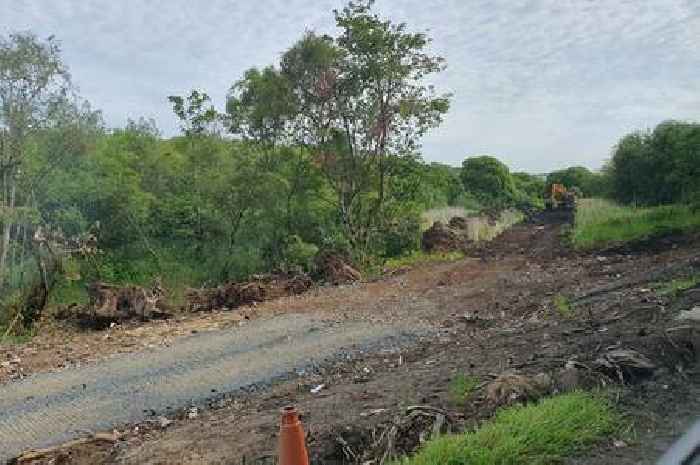 New Ayrshire cycle path threatens to wreck 'natural habitat', campaigners warn