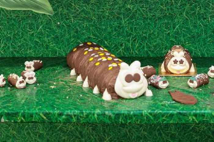 M&S celebrates Colin the Caterpillar's 35th birthday but Aldi just had to have its say