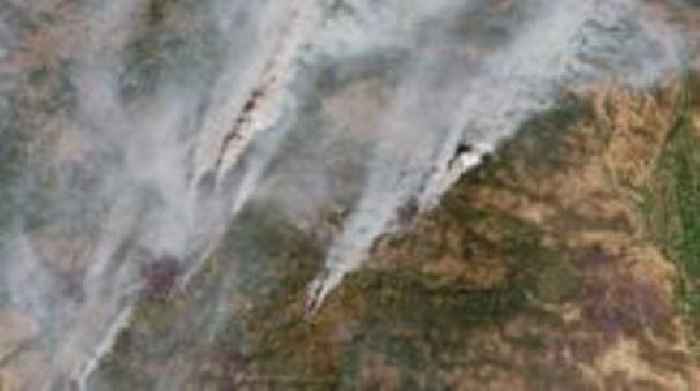 EU faces worst wildfire season on record
