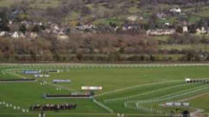 Tribute band festival cancelled at short notice