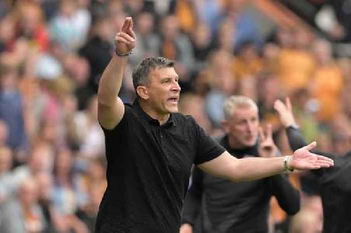 Hull City transfer aim as Sergej Jakirovic tells Acun Ilicali what more he wants