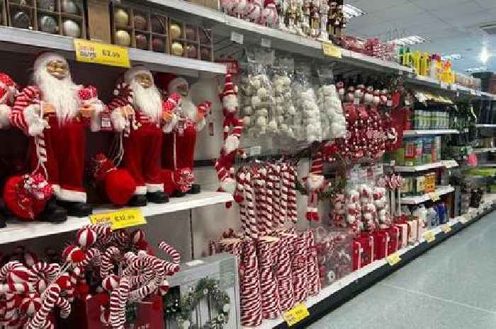 'It's too early' - Home Bargains Christmas range on sale now