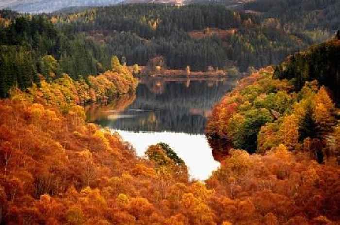 'False autumn' has been triggered by 'stress of extreme summer', warns Met Office