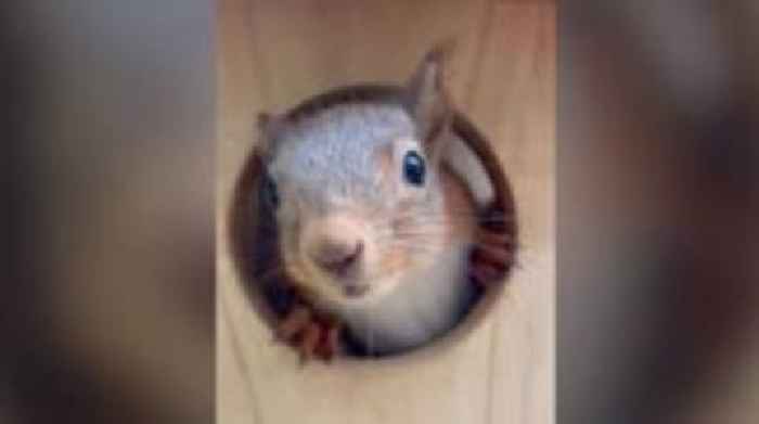 Cumbria stories you might have missed this week