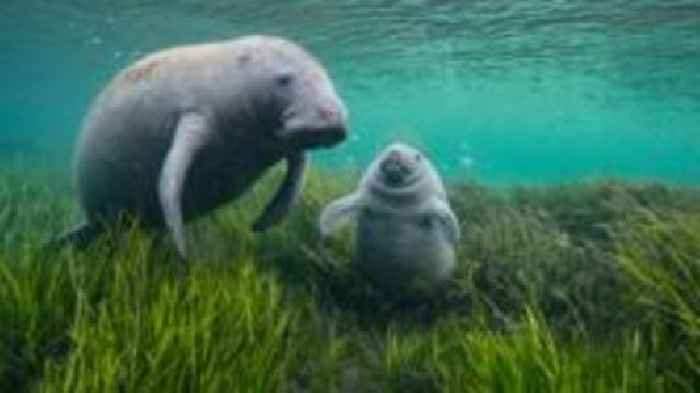 Photography exhibition displayed at Jersey Zoo