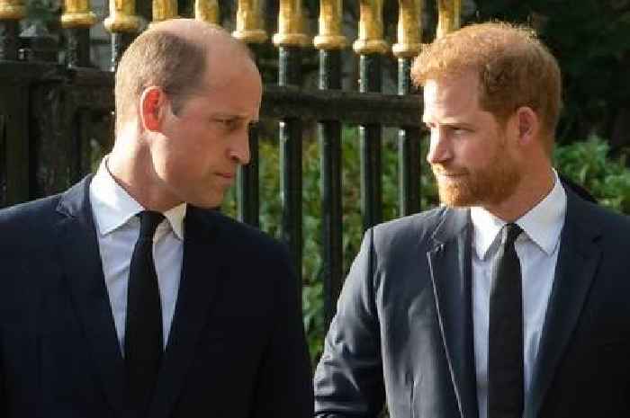 Prince Harry could 'shatter reconciliation' with William if he goes ahead with move