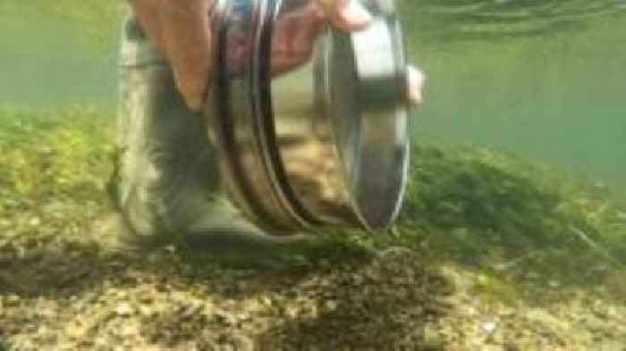 'Worrying' amounts of microplastic in chalk stream