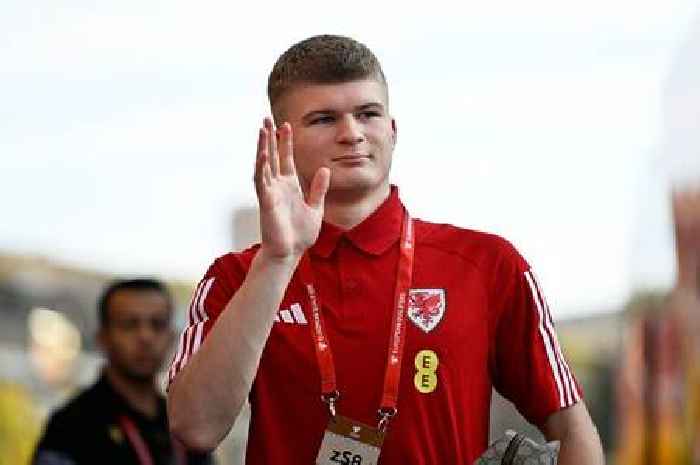 Leicester City strengthen midfield with late loan signing of Wales international