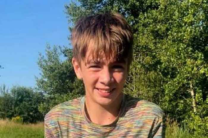 Family's emotional tribute to boy, 12, who died after being 'flung from playground roundabout'