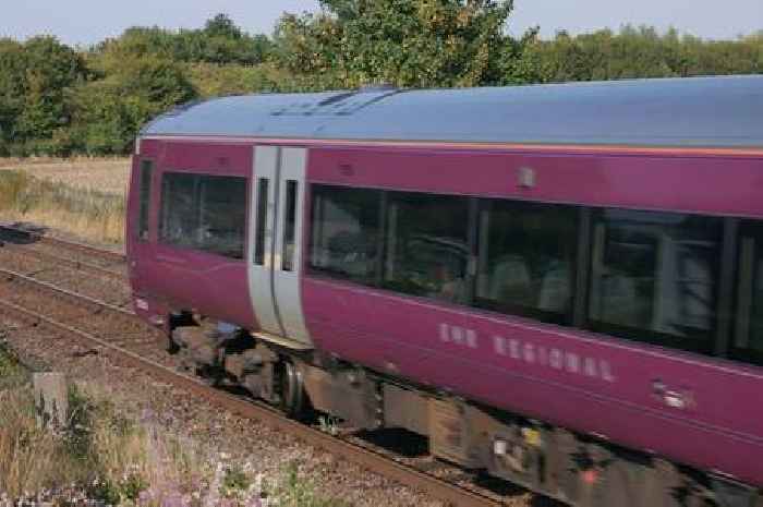 Passenger says train delayed by 'people being lowered over bridges to put flags up'