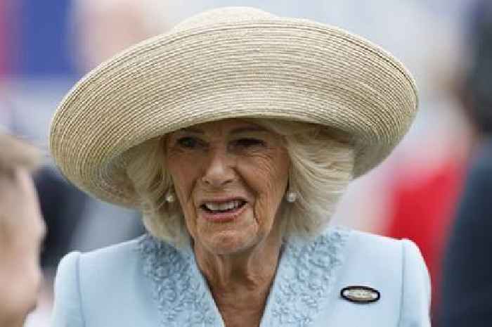 Queen Camilla fought off indecent assault on train by hitting attacker with her shoe, book claims