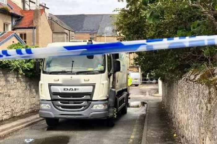 Woman, 89, dies after being hit by council bin lorry