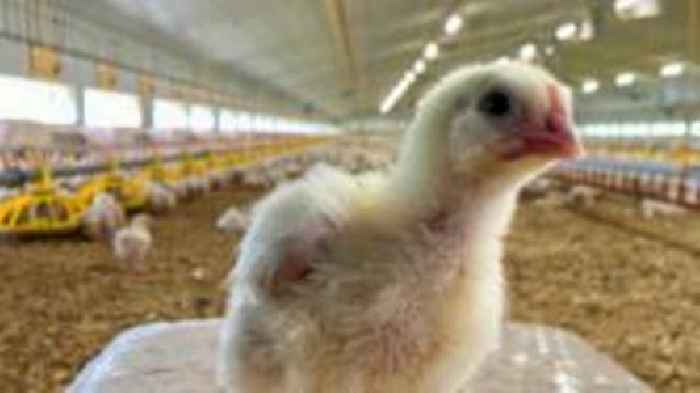 Megafarm permit blocked over environment fears