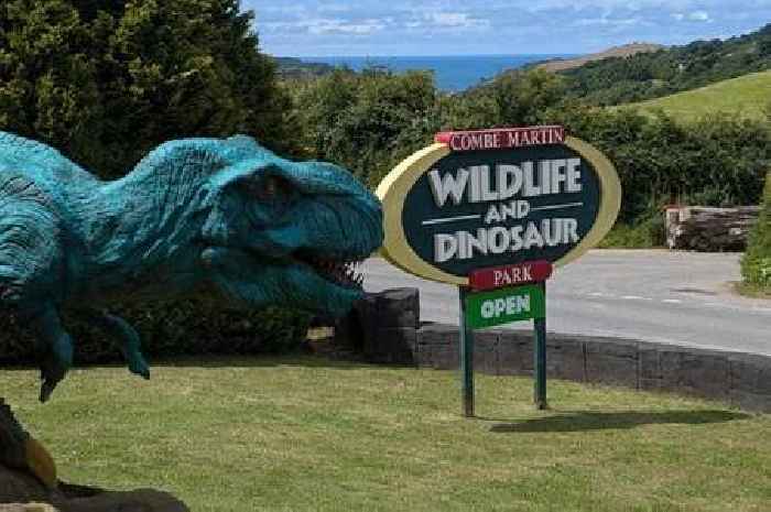 People in shock after spotting Hollywood star at Dinosaur park in Devon