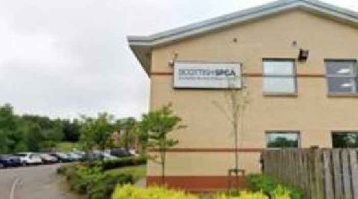 Scottish SPCA workers to vote on strike action over pay
