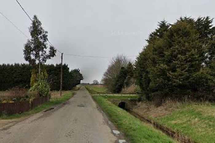 Driver taken to hospital after car crashes into tree