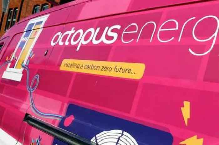 Octopus Energy issues 'remarkable' announcement affecting 2.3 million customers