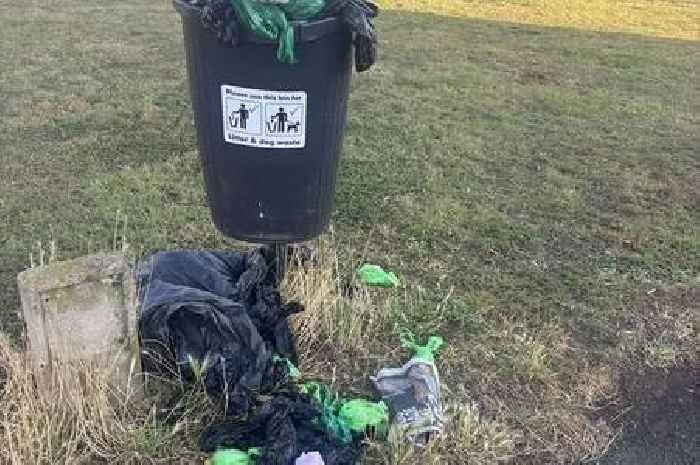 Scunthorpe litter bin left overflowing with dog foul