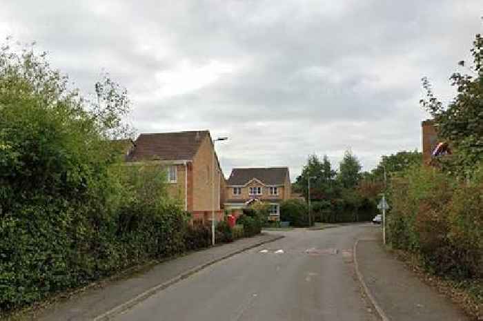 Knife-wielding man told dog walker he 'wanted to seriously harm someone' before 'calmly walking away'