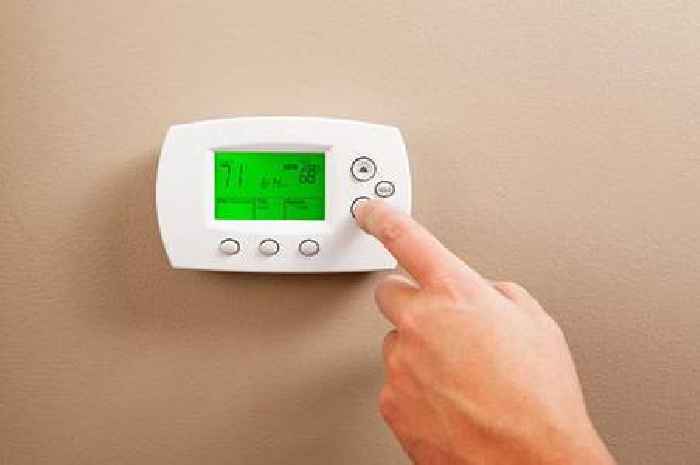 British Gas, EDF, EON, Ovo, Octopus customers urged to spend £183 now