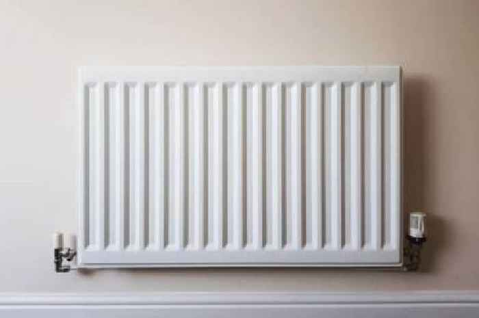 British Gas, EDF, EON, Ovo, Octopus customers with radiators face extra £100 charge