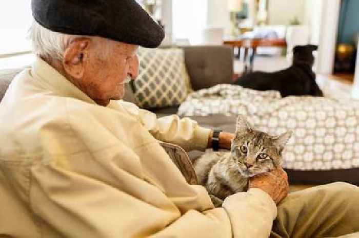 Elderly man's decade long 'loyalty' routine with cat leaves people in 'tears'