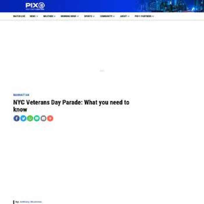 NYC Veterans Day Parade: What you need to know