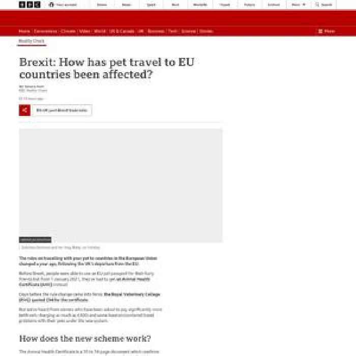 Brexit: How has pet travel to EU countries been affected?