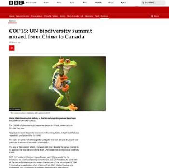 COP15: UN biodiversity summit moved from China to Canada