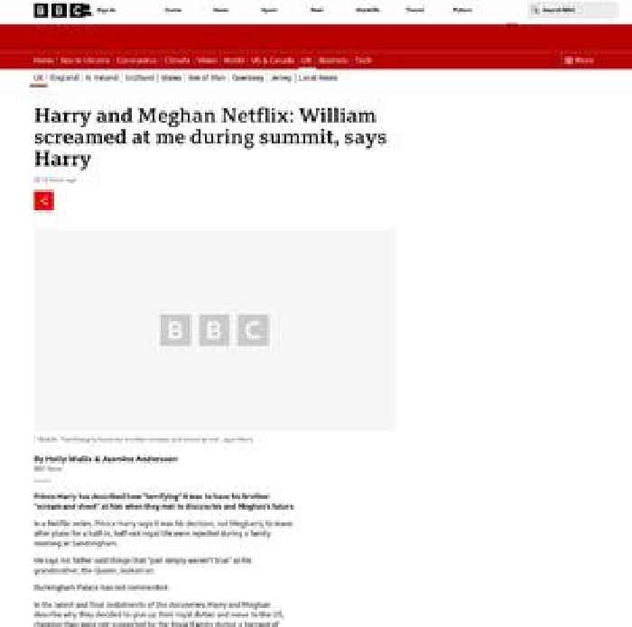 Harry and Meghan Netflix: William screamed at me during summit, says Harry