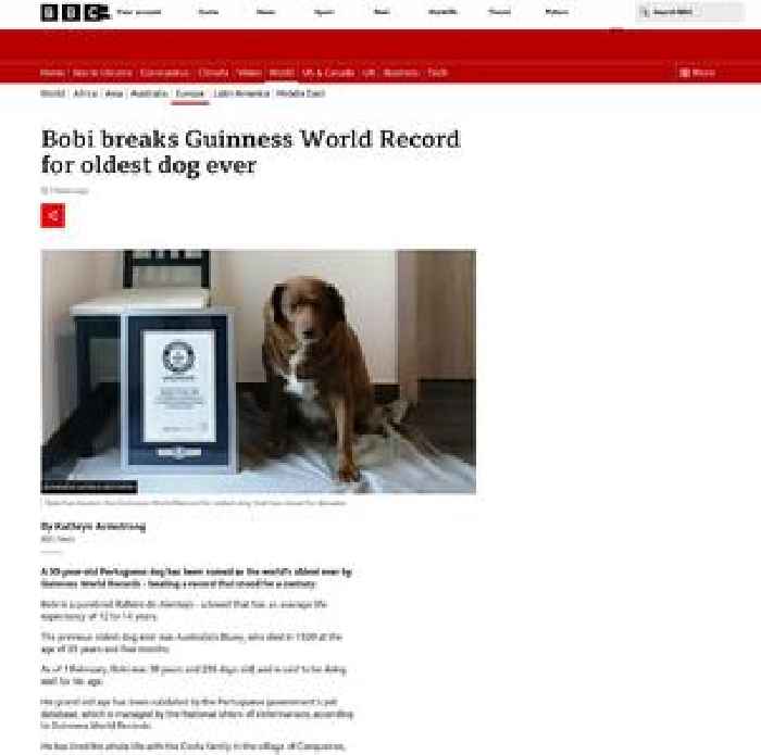 Bobi breaks Guinness World Record for oldest dog ever
