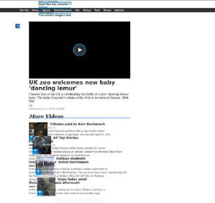 UK zoo welcomes new baby 'dancing lemur'