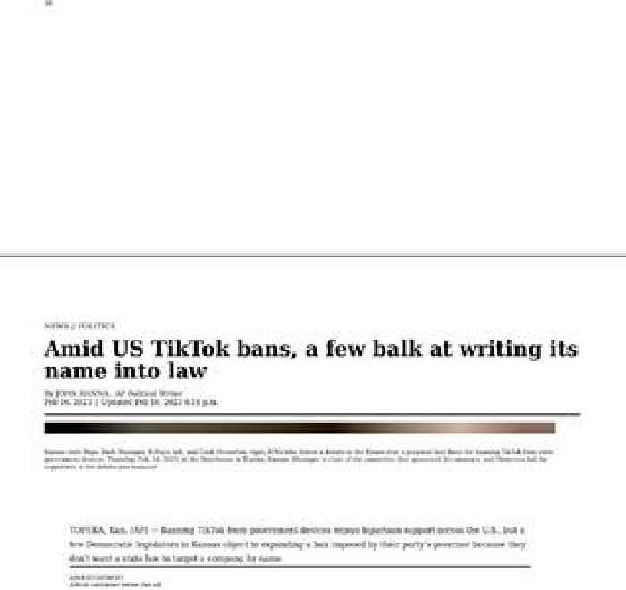 Amid U.S. TikTok bans, a few balk at writing its name in law