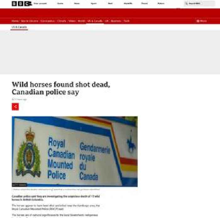 Wild horses found shot dead in Canada