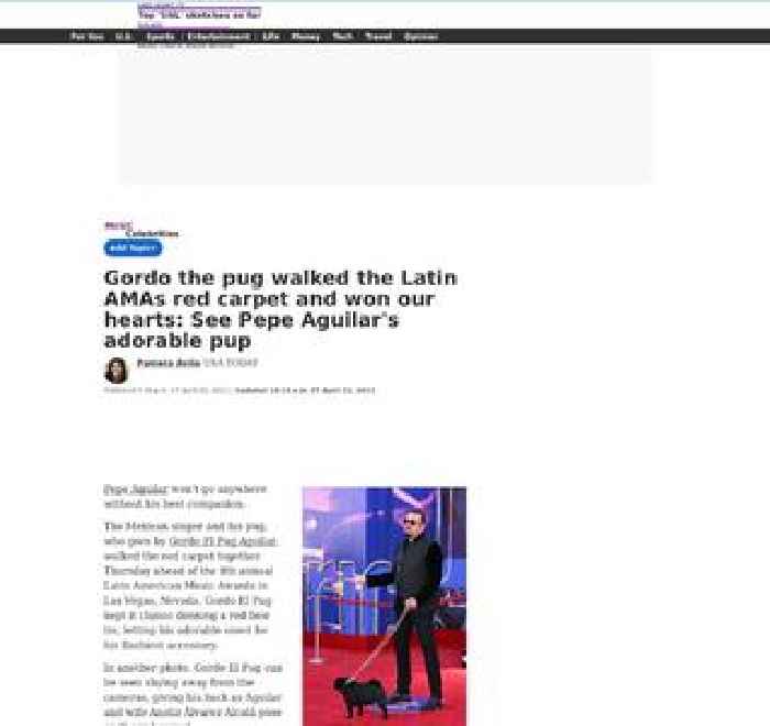 Latin American Music Awards: See Pepe Aguilar, his adorable pug Gordo strut the red carpet