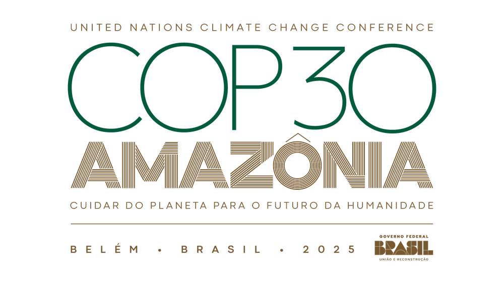 Amazon forest felled to build road for climate summit