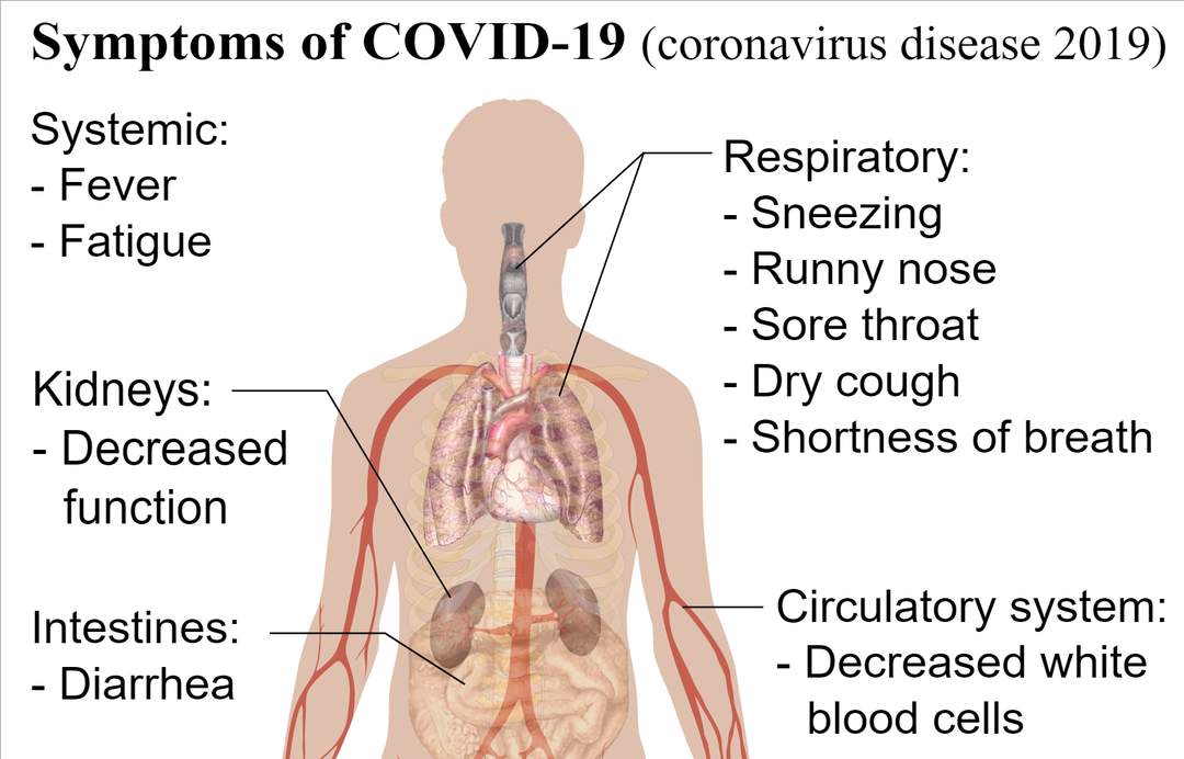 Kansas doctor discusses the impacts of COVID-19 on rural hospitals