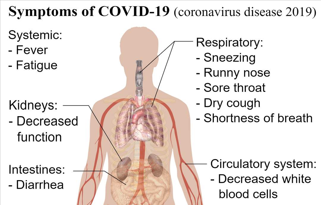 Covid: What's the roadmap for lifting lockdown?