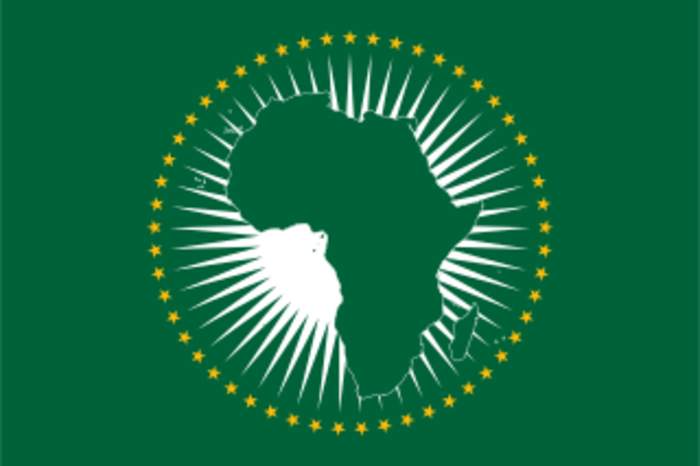 AU Commission chief urges action on Africa instability