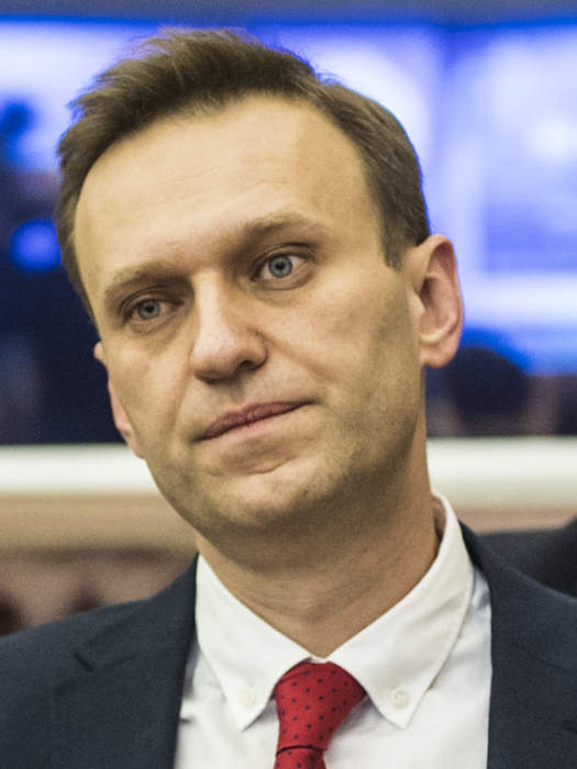 Kremlin Opposition Leader Alexei Navalny Detained Upon Russia Return